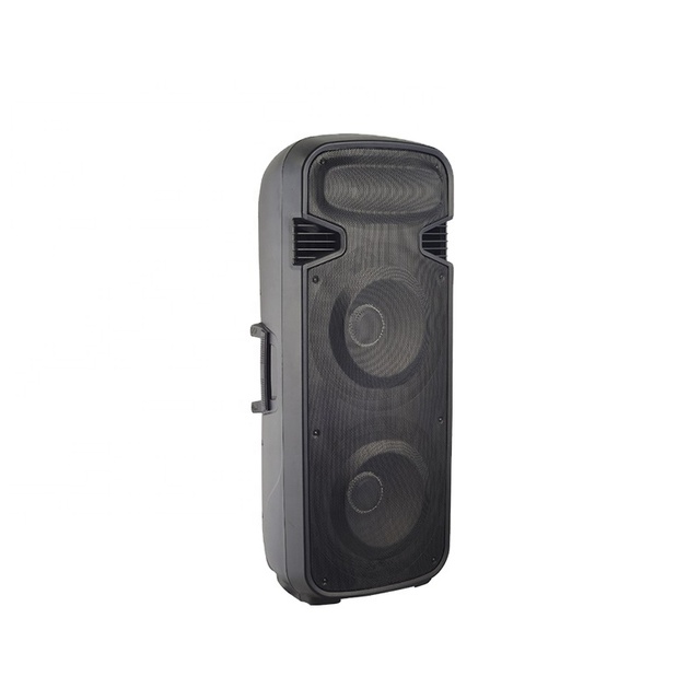 Dual 15 Inch Plastic Portable Speaker Box Active Two Way Battery Speaker 250W RMS With USB FM TWS Wireless