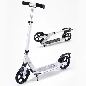 Nhà Máy Trung Quốc Nhà Cung Cấp Xe Đạp Điện E-bike Xe Tay Ga Với Bàn Đạp