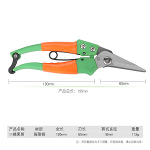 Green-handled Long Straight-tipped Fruit Picking Shears Stainless Steel Blade For Oranges Vegetables Grapes Gardening Pruning - Product Image 4