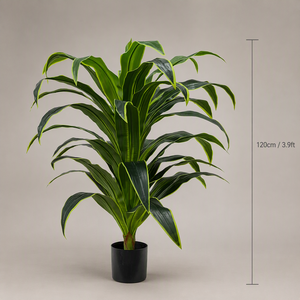 Dracaena Artificial al por Mayor, Árbol de <span class=keywords><strong>Limón</strong></span> Falso en Maceta, Planta de Maíz Artificial, Dracaena Falsa para Decoración de Interiores - Product Image 3