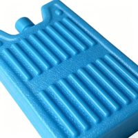 Brique de glace réutilisable de qualité alimentaire pour sac isotherme, conservation au froid longue durée, pour transport alimentaire et camping
