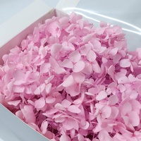 Penjualan Laris Bunga Asli Asli Asli Pabrikan Bunga Hortensia dengan Harga Terbaik untuk Dekor Pernikahan Rumah Hydrangea Putih