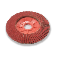Disque à lamelles en céramique supérieure Disque abrasif à support en plastique Disque lamellaire Meulage en acier inoxydable Roue métallique en acier au carbone