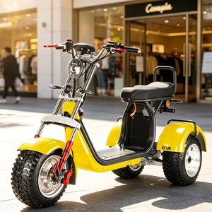 Monopattino Elettrico ad Alta Velocità da 1000 Watt per Adulti, Prezzo Basso, Moto da Turismo a Due Ruote 48V-72V con Batteria da 20Ah - Product Image 1