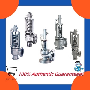 Vannes de sécurité à ressort direct pour cuves de chaudière HE HCI HSJ HSL HCA - Product Image 2