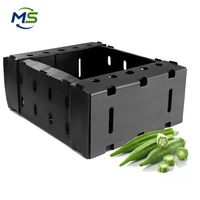 Conteneurs de stockage ventilés en PP pour le transport et l'emballage agricole de tomates, de laitues et de légumes à feuilles vertes