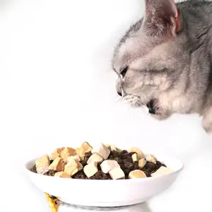 Nutrisi makanan kucing kering beku oem makanan kucing jumlah besar makanan kering kucing 10kg