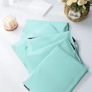 Tùy chỉnh không thấm nước Poly bưu phẩm nhựa đóng gói túi lớn gửi thư túi quần áo gói gửi thư túi cho vận chuyển