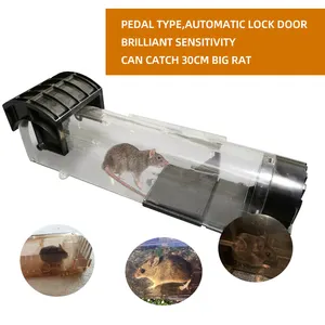 Humane Plastic Rat Catcher Portable Effective Rodent And Chipmunk Trap