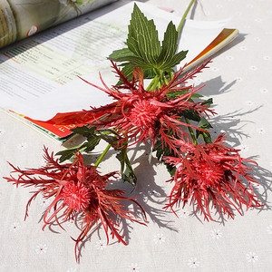 <span class=keywords><strong>Fleur</strong></span> artificielle à tige longue en plastique, toucher réaliste, <span class=keywords><strong>fleur</strong></span> <span class=keywords><strong>de</strong></span> mer, glycines creuse - Product Image 6