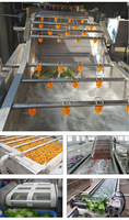 Facile à utiliser fruits frais manioc brosse lavage épluchage dattes sèche légumes bulle d'air nettoyage prix de la machine