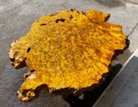 Table à thé ronde en bois massif/Table à manger en chêne massif/Table basse en noyer
