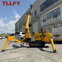 Prix direct usine TLLFY Mini-grue araignée à bras télescopique 2 tonnes, rotation 360°, double moteur, hauteur de levage <10m