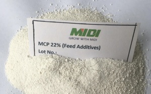 Phosphate Monocalcique MCP 22% MDCP 21% DCP 18% Granulaire et en Poudre - Product Image 3