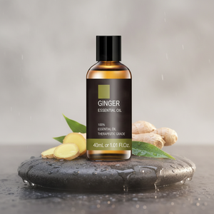 Reines Ingwer-Ätherisches Öl Großhandel Bulk Rein Natürlich Unverdünnt 100% Natürliches Ingwer-Ätherisches Öl für Diffusor, Körpermassage - Product Image 2