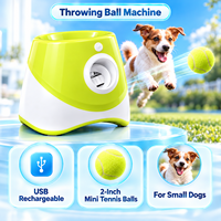 Lanceur automatique de balles pour animaux de compagnie, jouet interactif pour animaux de compagnie avec balles de tennis, accessoires pour animaux de compagnie, machine à lancer des balles pour chiens