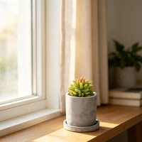 Mini pot de fleurs en ciment intégré et respirant avec soucoupe, style nordique, pour plantes de bureau, personnalisable, gravure sur mesure, vente en gros
