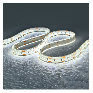 Tira de Luces LED RGBW de PU Transparente, Personalizable, de Larga Duración, Alto Brillo, Impermeable IP68, para Iluminación Exterior - Product Image 1