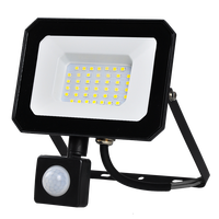 Projecteur LED à détecteur de mouvement OEM 10W 20W 30W 50W 100W Étanche Jardin Garage Entrepôt Projecteurs LED PIR Utilisation en extérieur