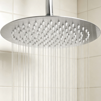 Pommeau de douche mural 10 pouces en acier inoxydable 304, sortie unique, surface plaquée, effet pluie, filtre à eau pour salle de bain et hôtel
