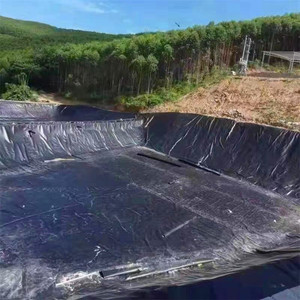 ASTM 0.5 0.75mm 1.0mm 1.5mm <span class=keywords><strong>HDPE</strong></span> <span class=keywords><strong>geomembrane</strong></span> cho ao cá bãi rác - Product Image 3