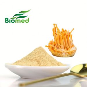 Poudre d'extrait de Cordyceps Militaris de qualité alimentaire Polysaccharide Cordyceps Militaris - Product Image 1