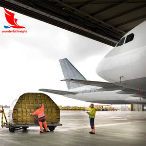 アラブ首长国连邦ドバイへのアラメックス航空 + エクスプレス送料 - Product Image 6