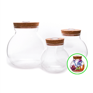 Trang trí nội thất sang trọng cá thủy tinh hồ cạn bát tròn Bình thủy tinh nhân tạo thực vật chai thủy tinh hồ cạn với <span class=keywords><strong>LED</strong></span> - Product Image 6