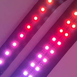 Aplicación controlada por teléfono inteligente, duradero, clásico, LED sólido, luminoso, recargable, Collar para perro mascota para seguridad en el paseo nocturno - Product Image 6