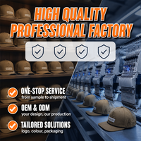 Casquette personnalisée avec logo, 5 panneaux, visière incurvée, patch brodé – Vente en gros, OEM, ODM, directement de l'usine, fournisseur pour commandes en gros