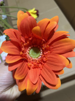 Fleurs de Gerbera de marguerite hydratantes artificielles de haute qualité pour les arrangements de Table de centres de table de mariage