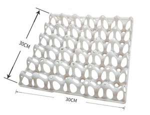 New 30-Cell Chicken <strong>Egg</strong> Packing Tray Plastic <strong>Egg</strong> Tray Plastic <strong>Egg</strong> Trays for 30 <strong>Eggs</strong> - Product Image 3