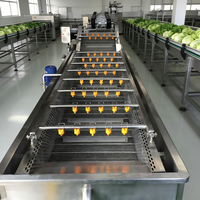 Ultrasoon reinigingsapparaat voor fruit en groenten, geschikt voor het wassen van druiven, kersen en tomaten
