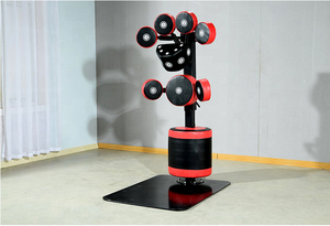 Maniquí de Boxeo de Venta Directa de Fábrica, Máquina Bob para Ejercicios Cardiovasculares, Boxeo, Gimnasio Comercial, Objetivo de Boxeo - Product Image 4