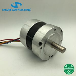 Motor CC sin escobillas serie 86RBL de 86 mm, 300W 800W 36V 3000 RPM, montaje con brida, imán permanente, totalmente encapsulado - Product Image 2