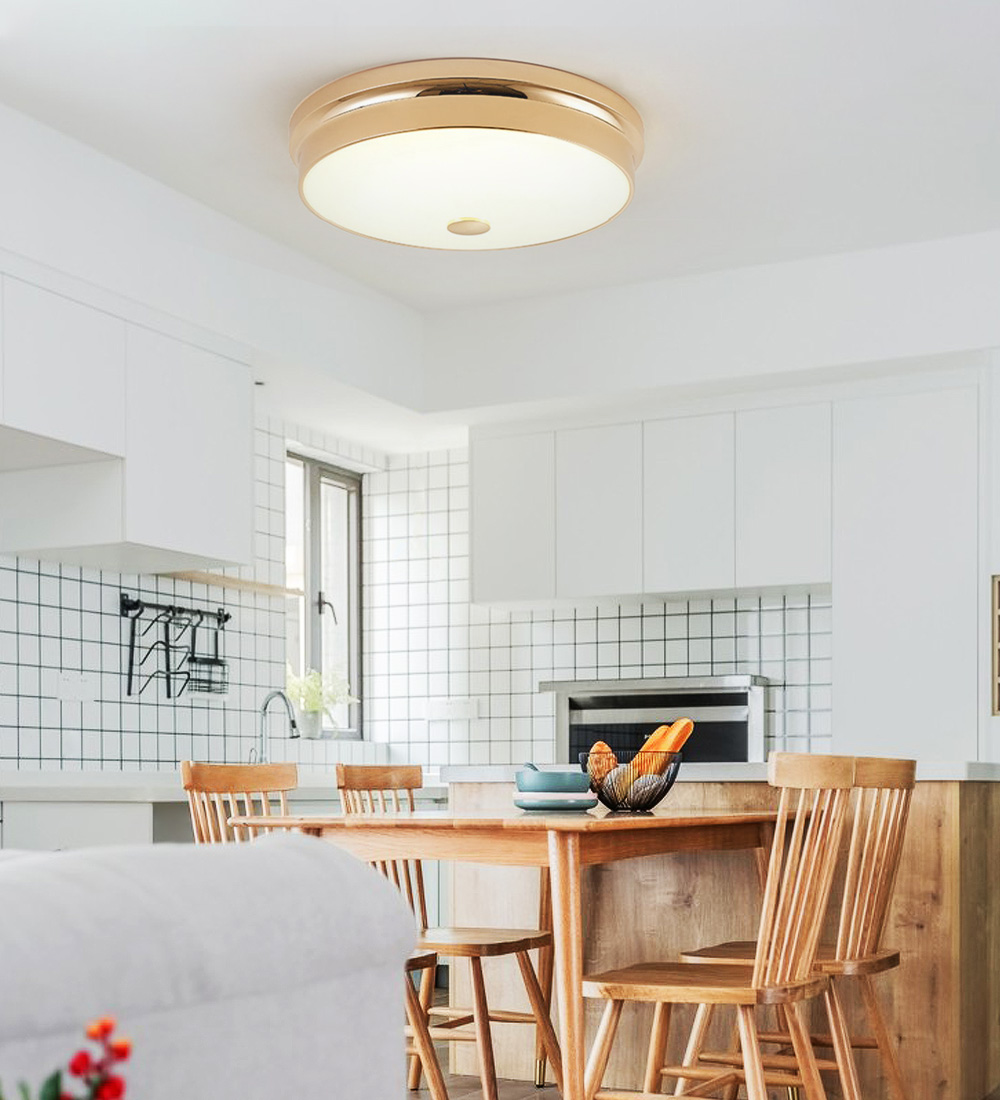Contemporary Nordic Ceiling Light Iron Round Flush Mount Ceiling Lighting Elegant Modern Led Ceiling Lamp For Living Room