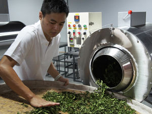 <span class=keywords><strong>Té</strong></span> a granel orgánico Dragon Pearl Guangxi longzhu <span class=keywords><strong>Té</strong></span> <span class=keywords><strong>verde</strong></span> jazmín estándar de la UE - Product Image 6