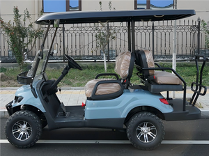 도매 미니 2 + 2 좌석 전기 골프 카트 맞춤형 골프 버기 - Product Image 6