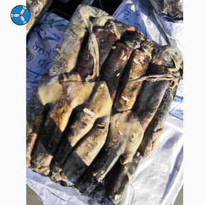 SANFENG SEAFOOD Prix de gros <span class=keywords><strong>Calamar</strong></span> géant du Pérou congelé à vendre - Product Image 3