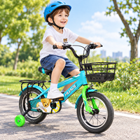 Vélo pour enfants à cadre en acier OEM ODM, 12, 14, 16, 18 pouces, avec freins à main doubles, pneus antidérapants, roues d'apprentissage et garde-boue pour tout-petits et enfants