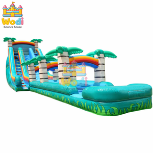 Toboggan aquatique <span class=keywords><strong>gonflable</strong></span> pour adultes, château <span class=keywords><strong>gonflable</strong></span>, PVC flexible de 0,55 mm, résistance commerciale, garantie de 3 ans, festivals, carnavals - Product Image 1