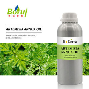 Traditionelle Kräuter-<span class=keywords><strong>Massage</strong></span> Aromatherapie Huile Essentielle Artemisia Arborescens Ätherische Öle Reines Süßes Beifußöl Bio - Product Image 1