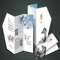En gros Usine Prix impression de brochures