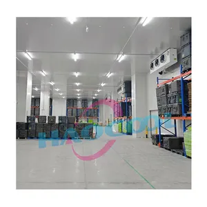 1000 ton Cold Storage Room Refrigeration Equipment For Fresh Mushroom Growing Equipment Ice Cream Freezer