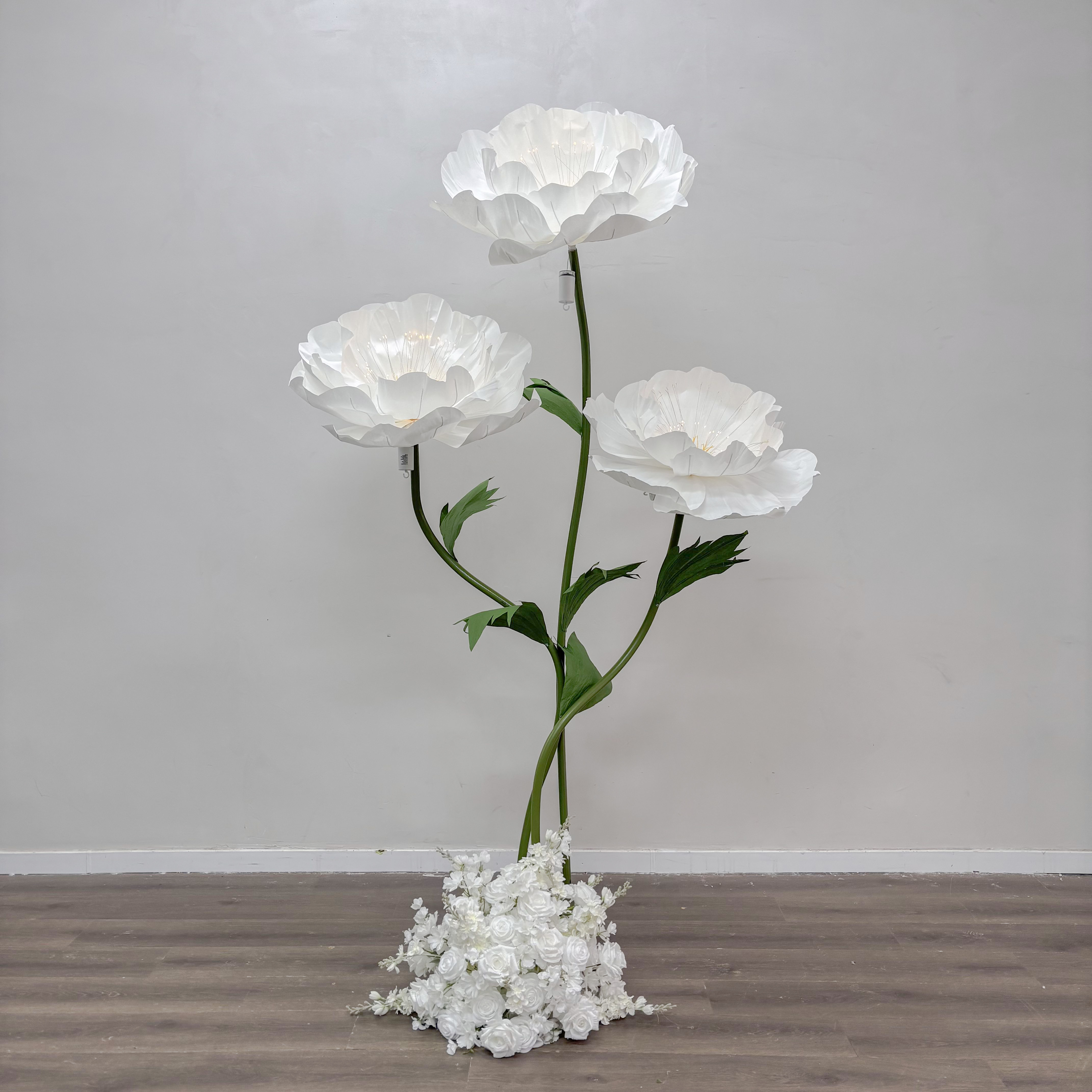 Blanco-BPF051