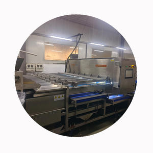 XMSD kastanye beku permintaan tinggi | Kastanye kupas IQF Premium Ideal untuk makanan ringan, memanggang & produksi kalengan - Product Image 3