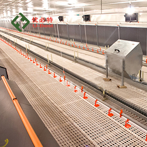 Excelente Servicio Postventa, Equipo Automático Integral para <span class=keywords><strong>la</strong></span> Cría de Pollos, para Granjas Avícolas de Gran Escala - Product Image 6