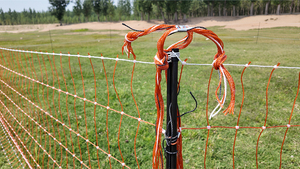 ตาข่ายรั้วไฟฟ้าโพลีเอทิลีนไฮดรอยด์ (HDPE) สำหรับสัตว์ปีก แพะ แกะ |   รั้วกั้นปศุสัตว์แบบพกพา เป็นมิตรกับสิ่งแวดล้อมและทนทานต่อรังสียูวี - Product Image 4