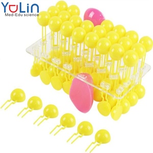 Hücre Membranı Akış Modeli Yapısı Anatomik Model Hücre Akış Mozaik Modeli <span class=keywords><strong>Protein</strong></span> ve Lipid Molekülleri Biyolojik Öğretim - Product Image 1