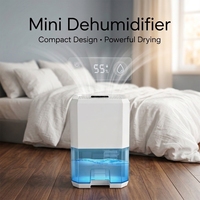 Déshumidificateur compact multifonctionnel avec étiquette personnalisée: dégivrage automatique, LED colorée, fonction veille avec matériau élevé